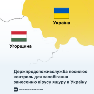 Держпродспоживслужба посилює контроль для запобігання занесенню вірусу ящуру в Україну