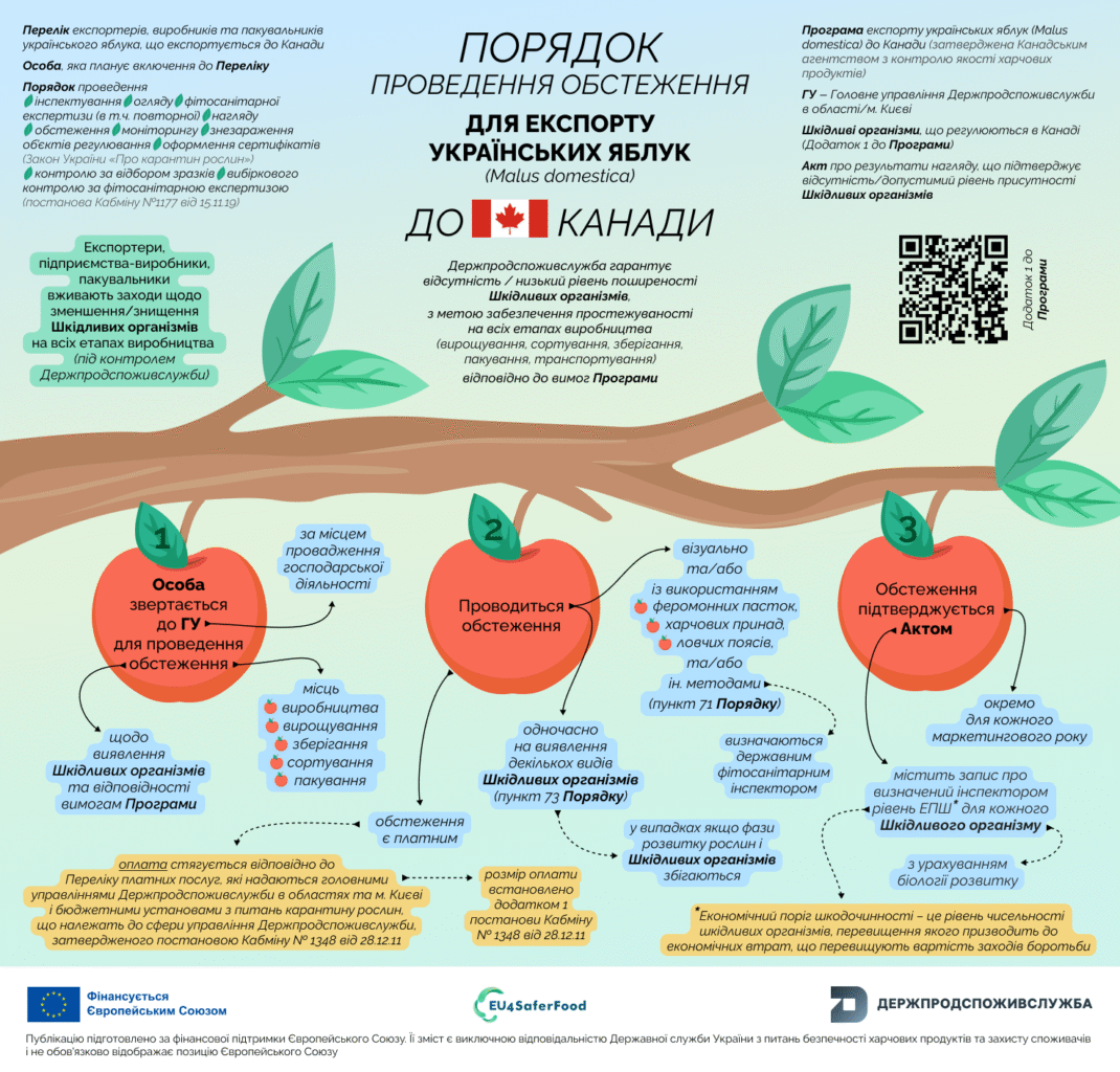 Експорт українських яблук до Канади: покрокові дії для експортера