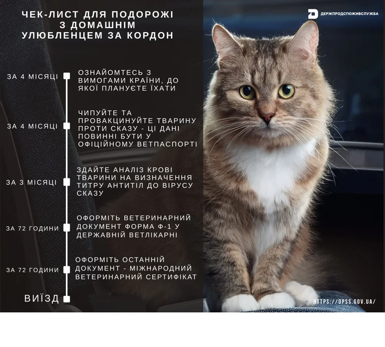 Чек-лист для подорожі з домашнім улюбленцем за кордон