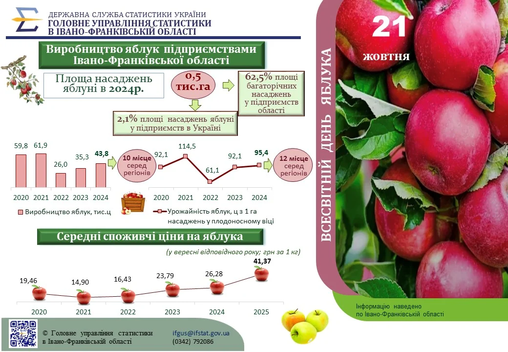 Інфографіка До Всесвітнього дня яблука