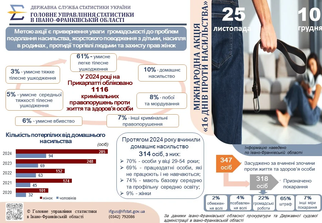 Інфографіка «Міжнародна акція 16 днів проти насильства»