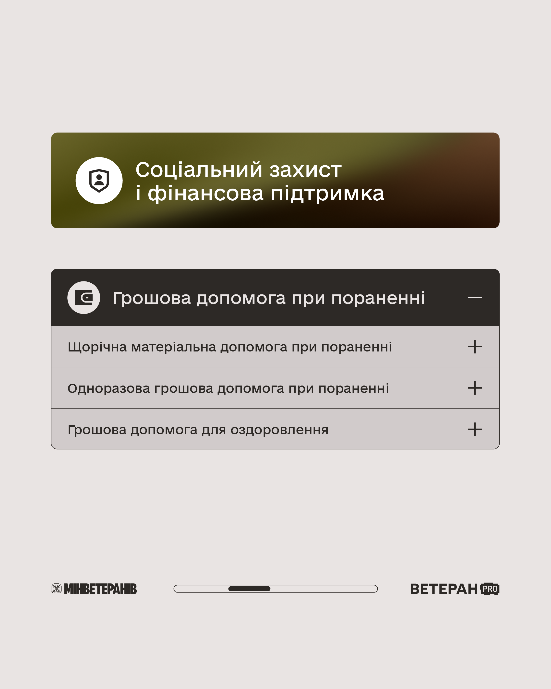 Платформа Ветеран PRO