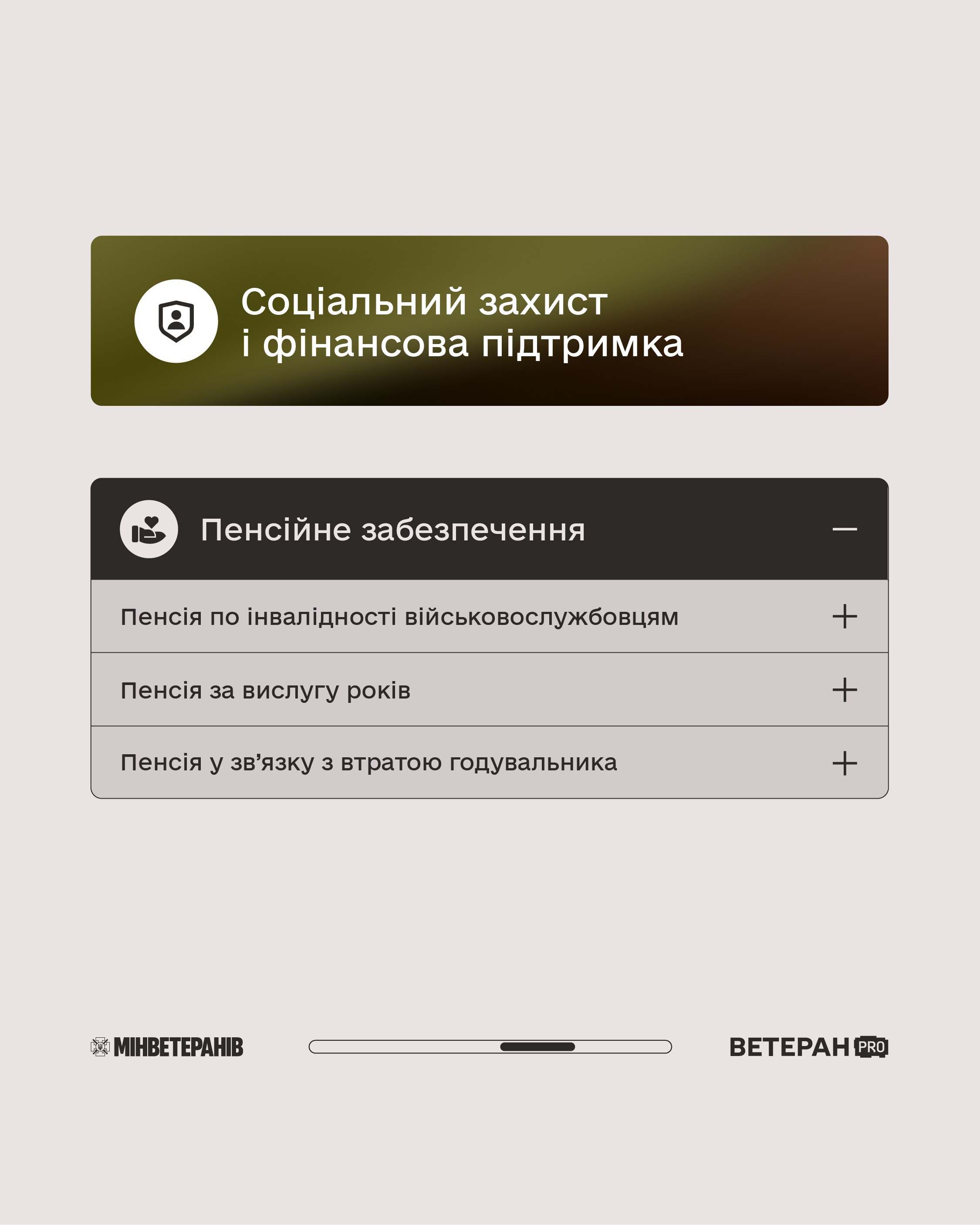 Платформа Ветеран PRO
