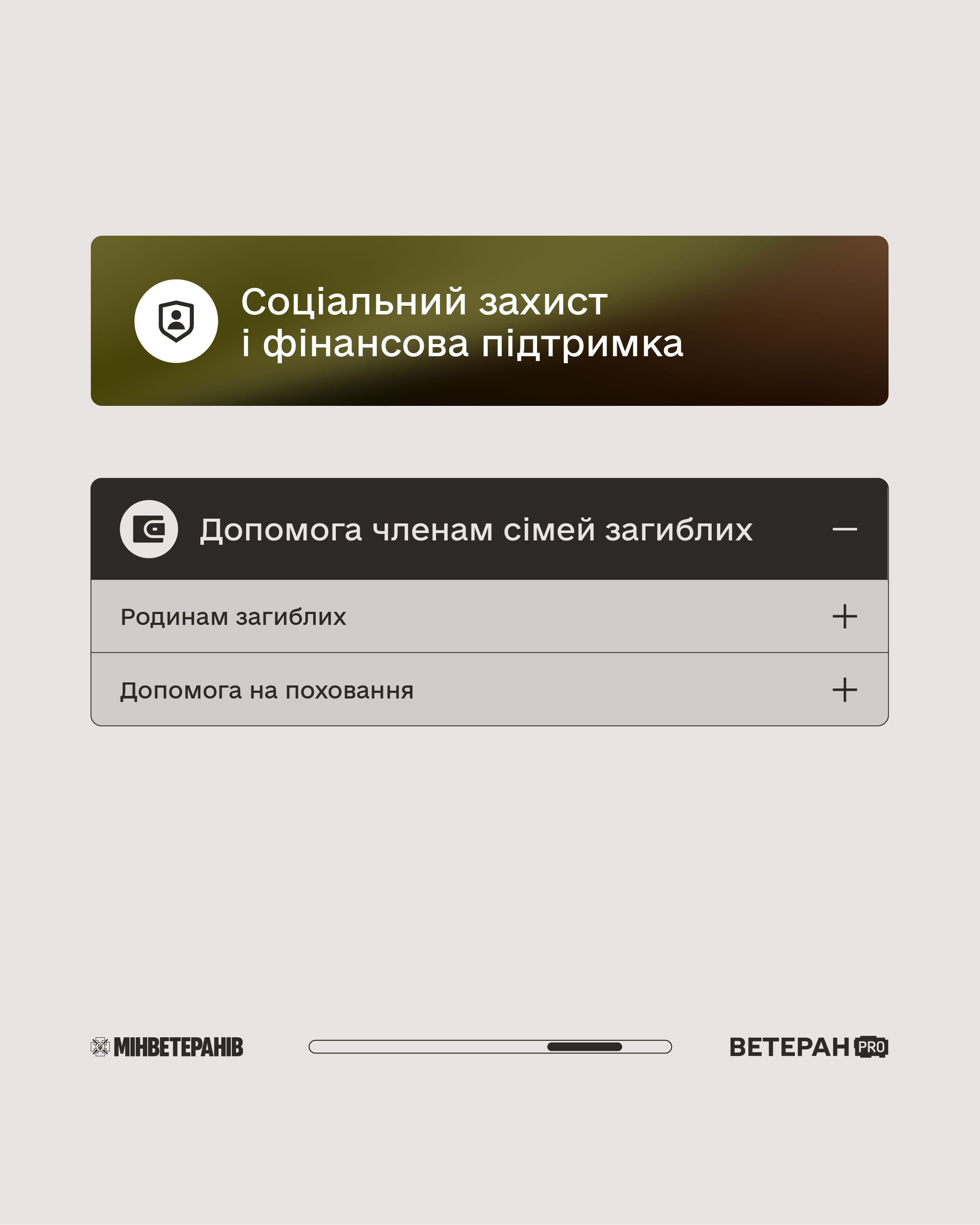 Платформа Ветеран PRO