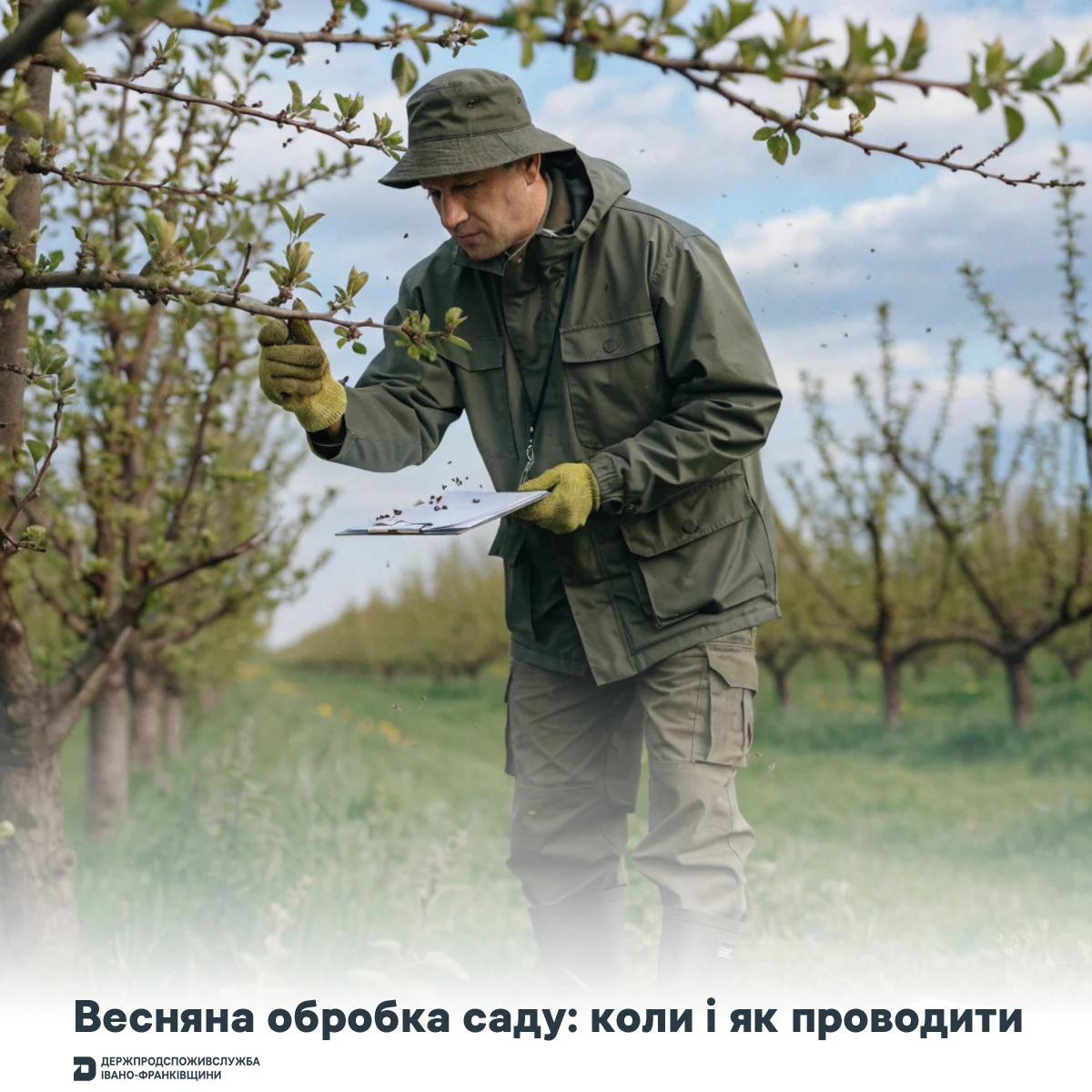 Весняна обробка садів: коли і як проводити