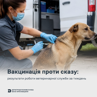 За тиждень на Прикарпатті вакцинували понад 6 300 тварин проти сказу