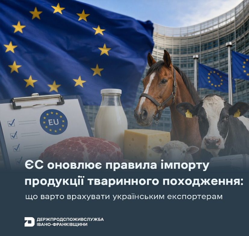 ЄС оновлює правила імпорту продукції тваринного походження: що варто врахувати українським експортерам